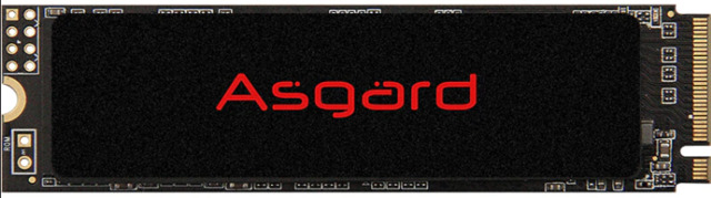 Asgard AN2 M.2 PCI-E