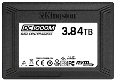 Kingston DC1000M