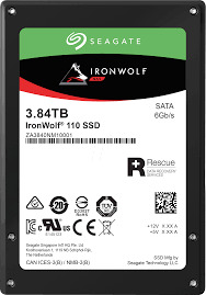 Seagate IronWolf 110